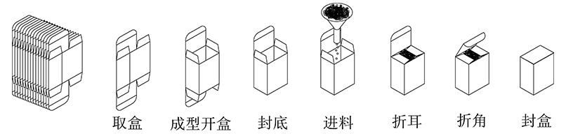 利悅自動數(shù)數(shù)立式裝盒機包裝流程示意圖