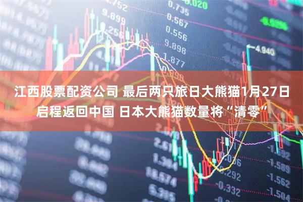江西股票配资公司 最后两只旅日大熊猫1月27日启程返回中国 日本大熊猫数量将“清零”